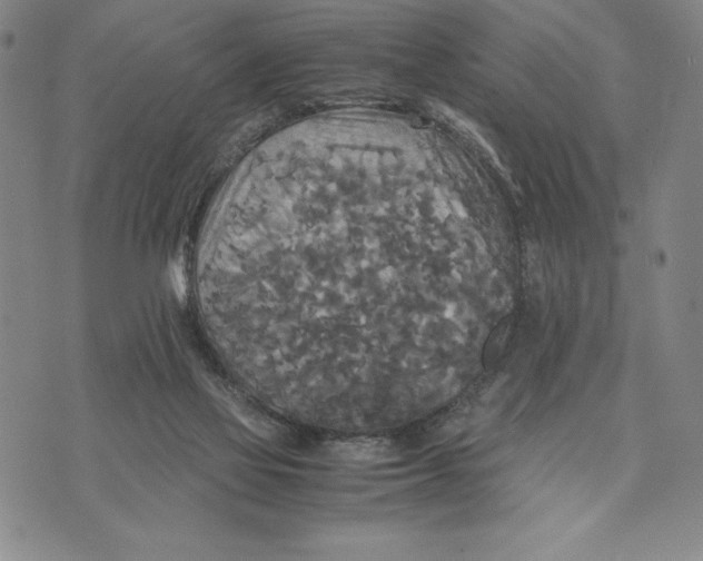 X0000072520069200608041542