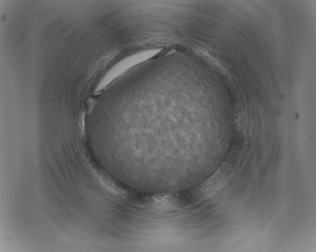 X0000072520070200608041542