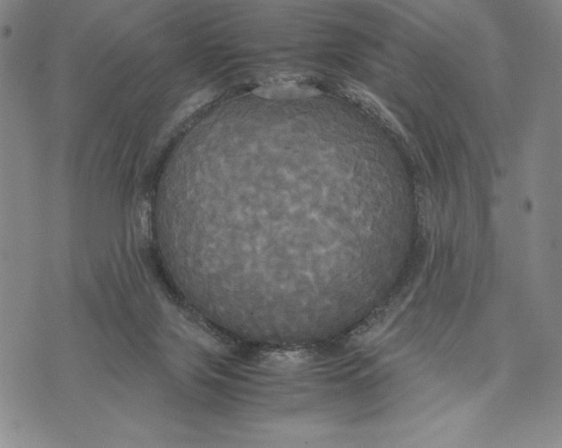 X0000072520071200608041542