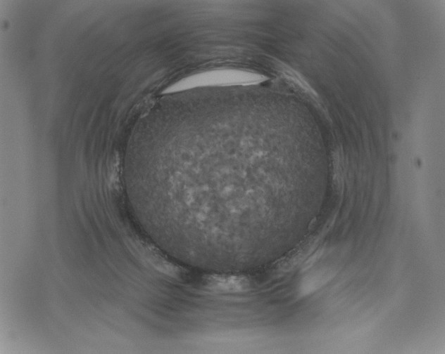 X0000072520073200608041542