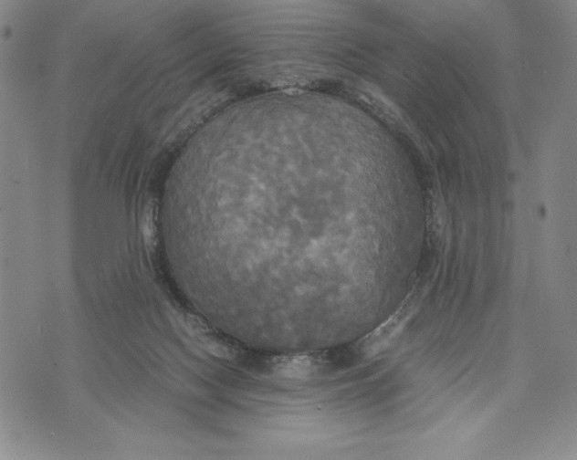 X0000072520074200608041542