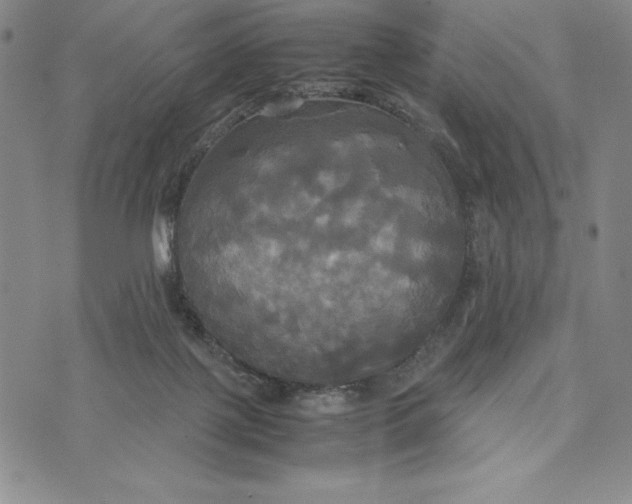 X0000072520075200608041542