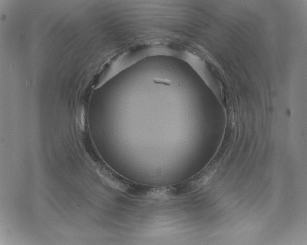 X0000072520076200608041542