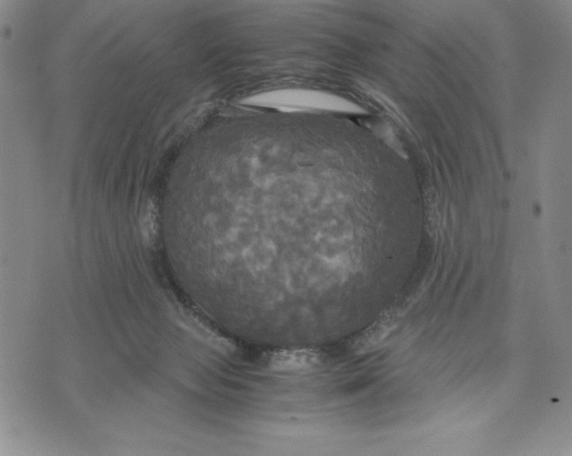 X0000072520077200608041543