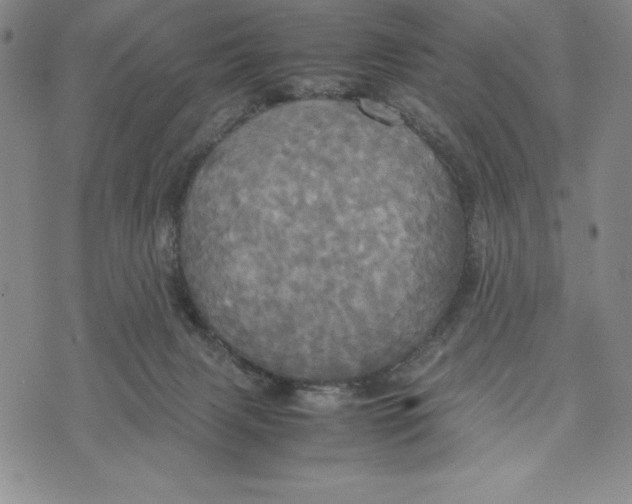 X0000072520079200608041543