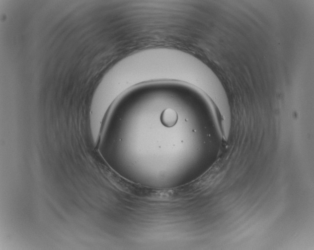 X0000072520080200608041543