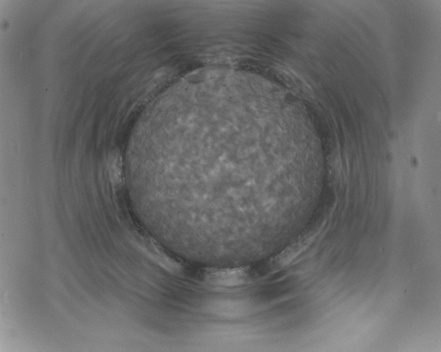 X0000072520081200608041543