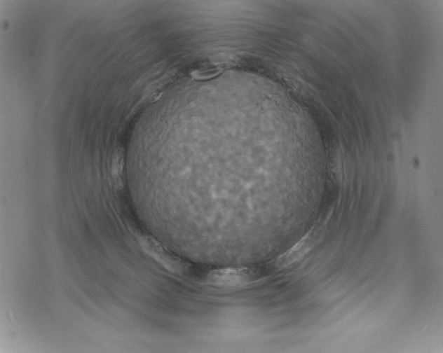 X0000072520082200608041543