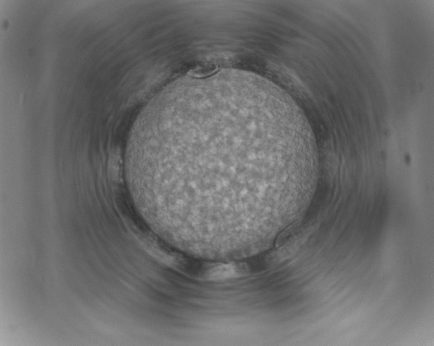 X0000072520083200608041543