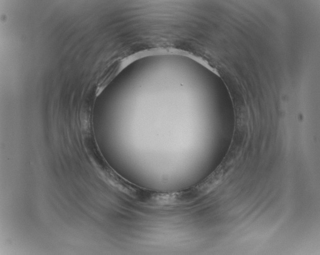 X0000072520084200608041543