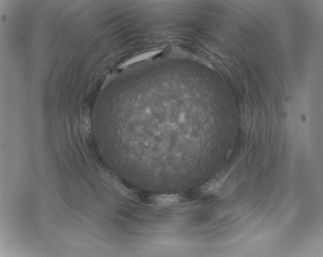 X0000072520085200608041543