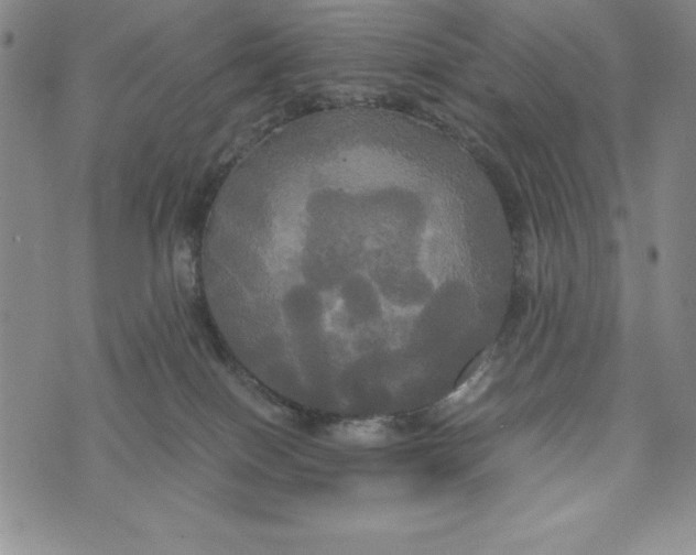 X0000072520086200608041543