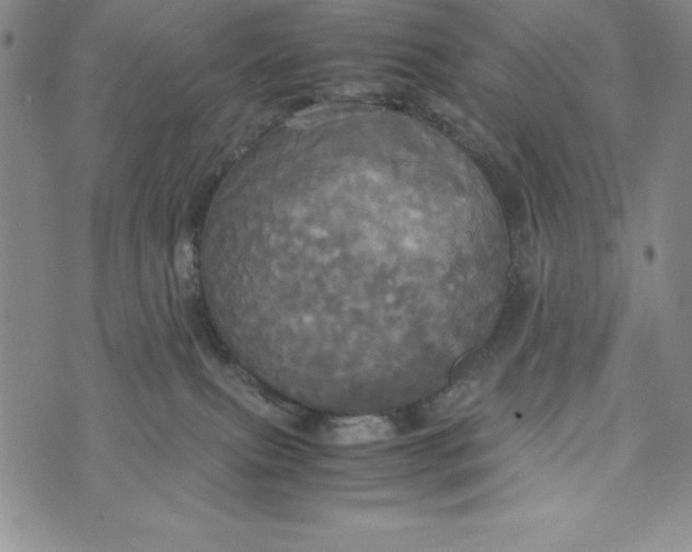 X0000072520087200608041543