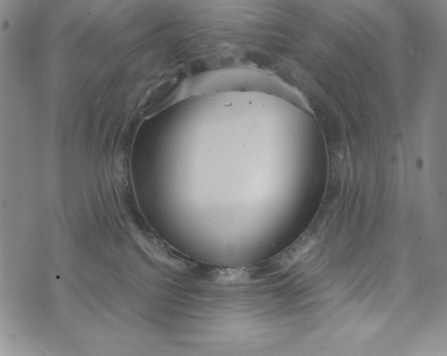 X0000072520088200608041543