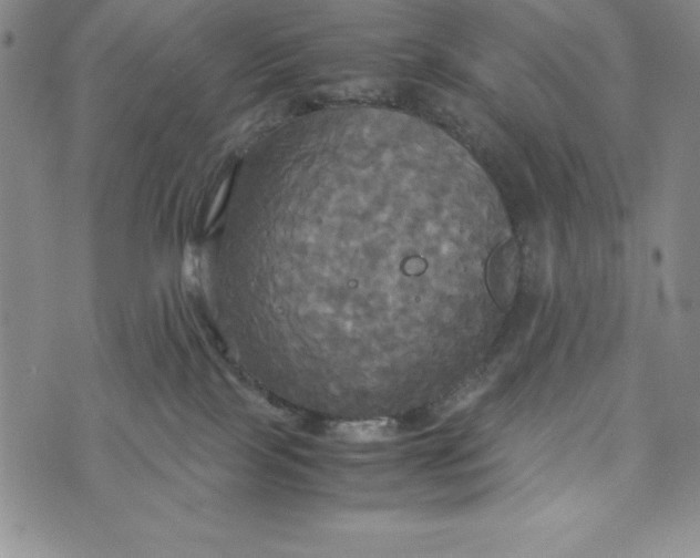 X0000072520089200608041543