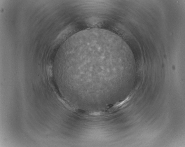 X0000072520090200608041543