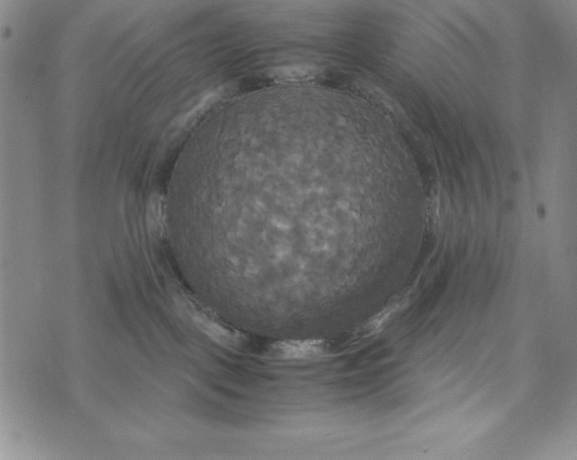 X0000072520093200608041543