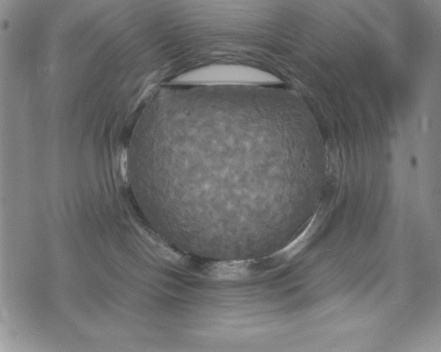 X0000072520094200608041543