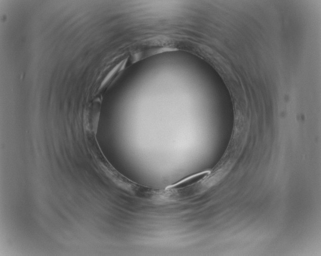 X0000072520096200608041543