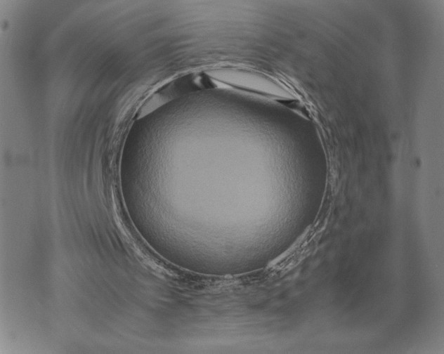 X0000072520097200608041542