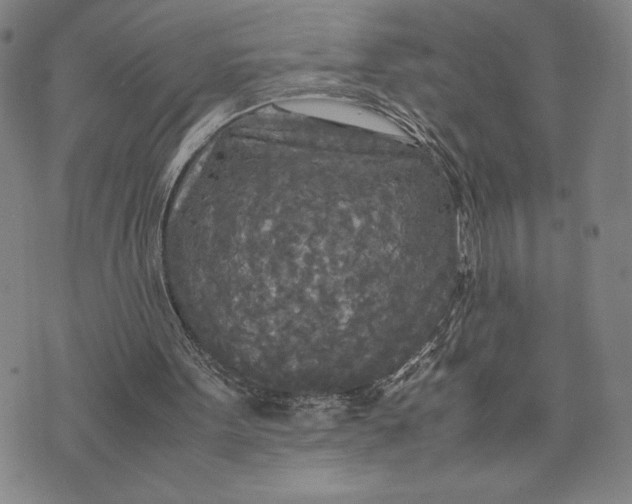 X0000072520099200608041542