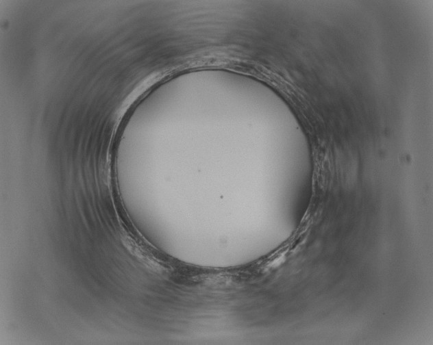 X0000072520100200608041542