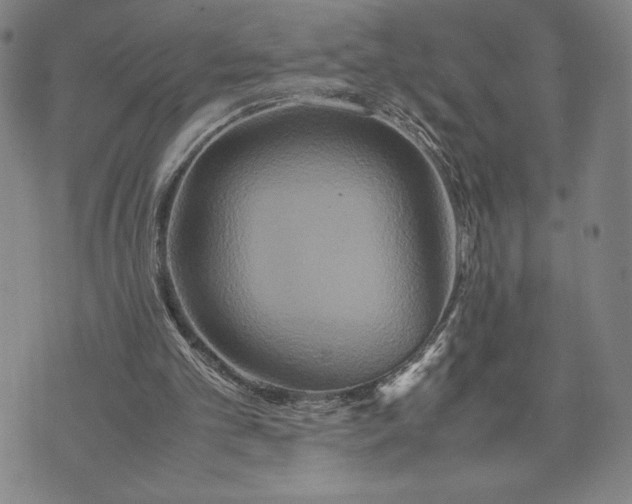 X0000072520101200608041542