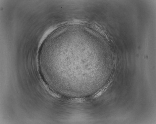 X0000072520102200608041542