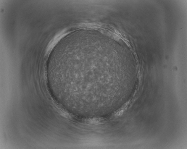 X0000072520103200608041542