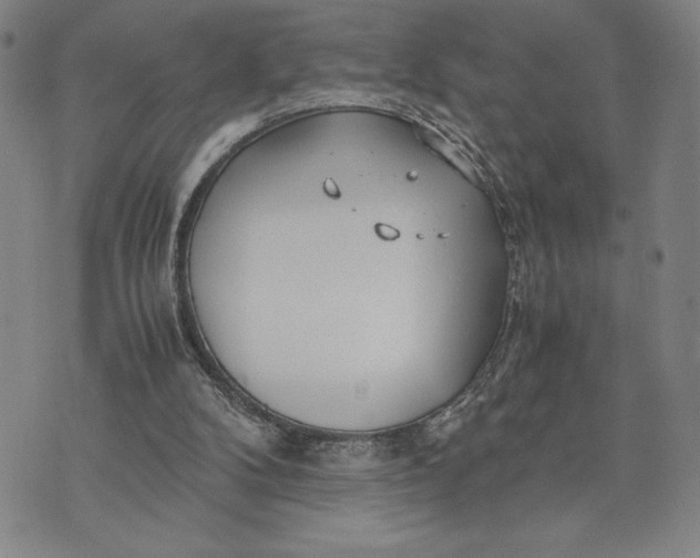 X0000072520104200608041542