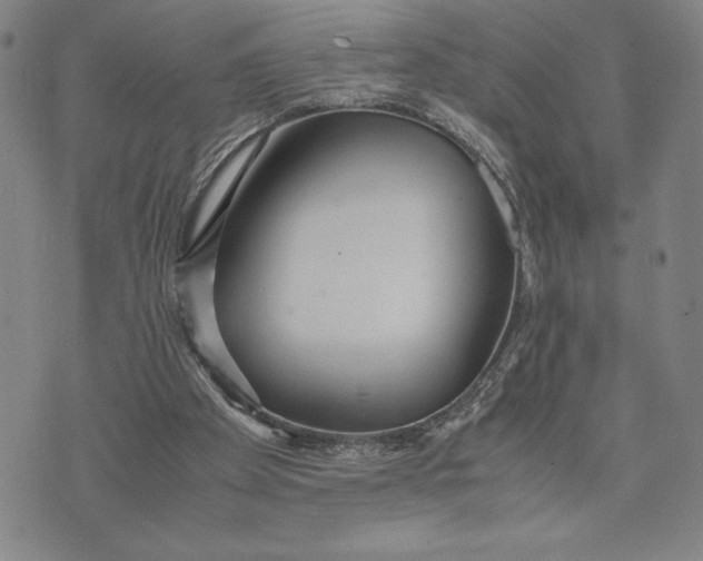 X0000072520105200608041542