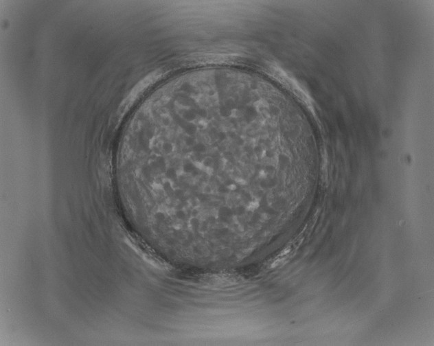 X0000072520107200608041542