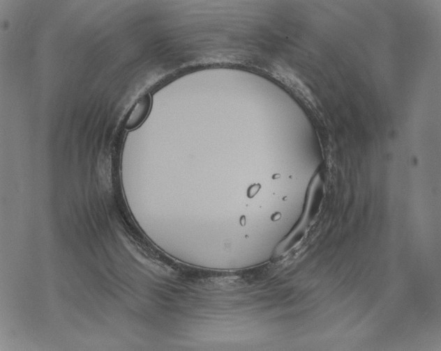 X0000072520108200608041542