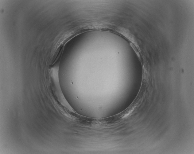 X0000072520109200608041542