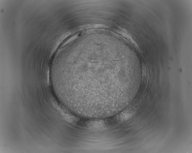 X0000072520110200608041542