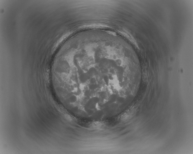 X0000072520111200608041542