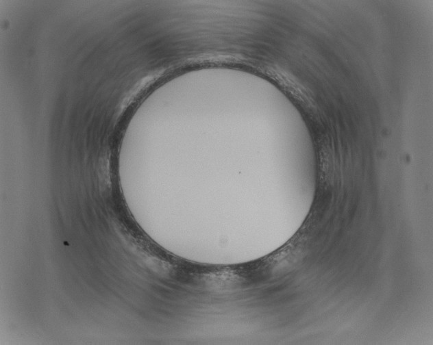 X0000072520112200608041542