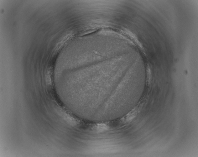 X0000072520114200608041542