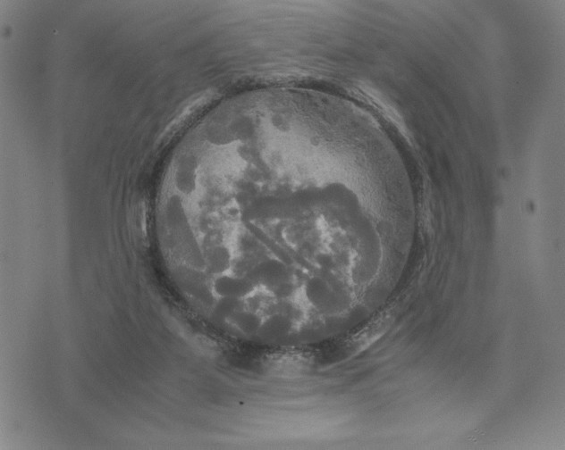 X0000072520115200608041542