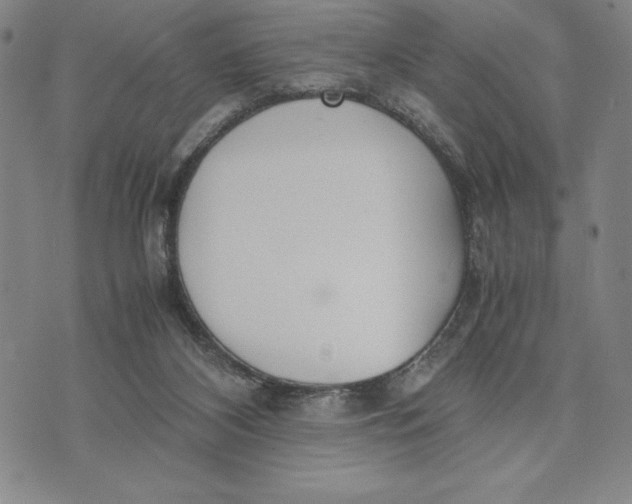 X0000072520116200608041542