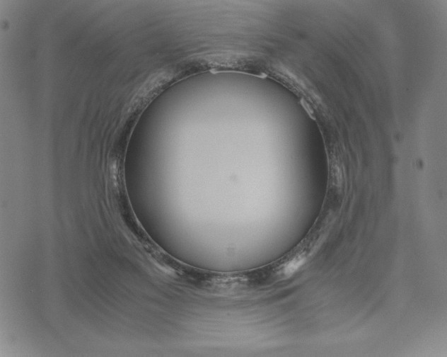 X0000072520117200608041542