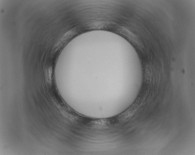 X0000072520118200608041542