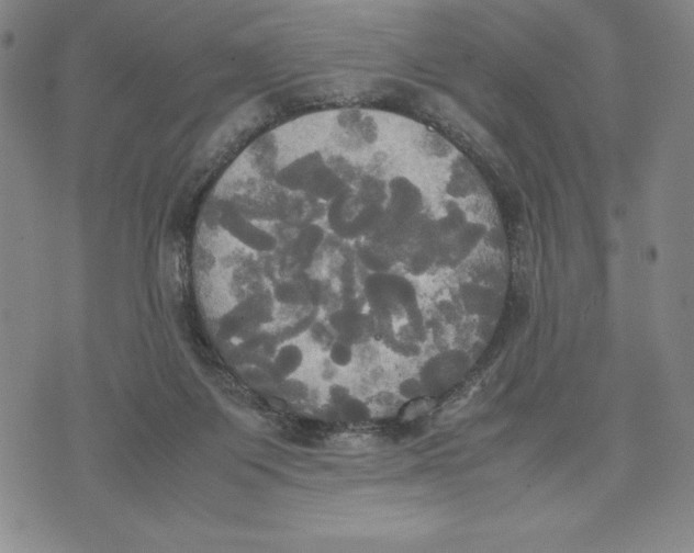 X0000072520119200608041542