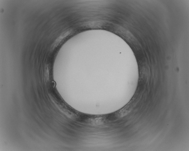 X0000072520120200608041542