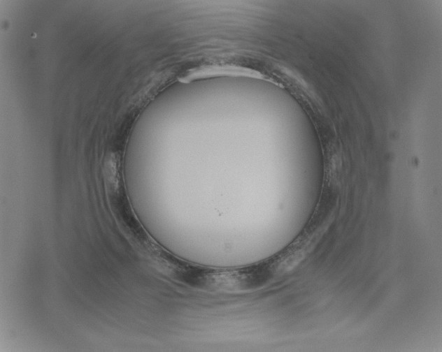 X0000072520121200608041542