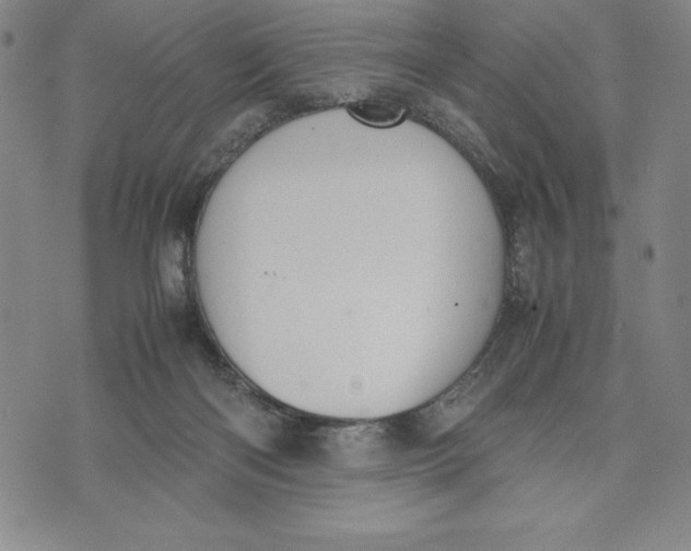 X0000072520122200608041542