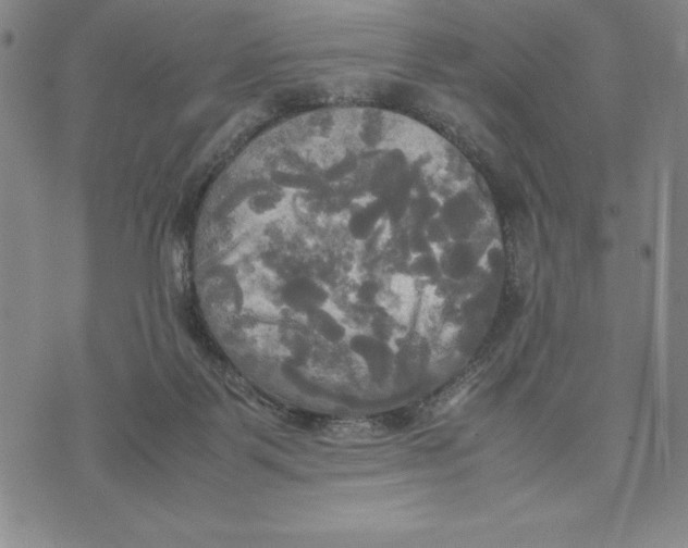 X0000072520123200608041542