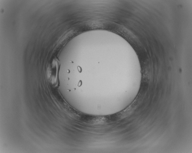 X0000072520124200608041542