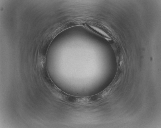 X0000072520125200608041542