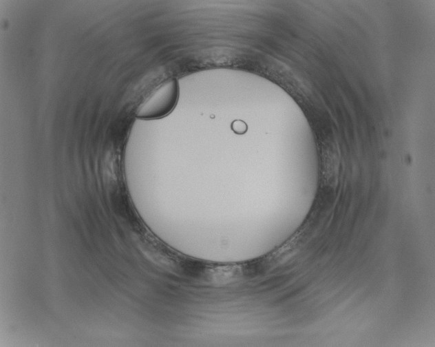 X0000072520126200608041542